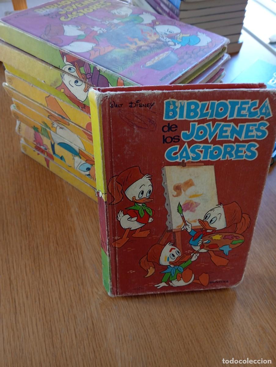 Livros de Banda Desenhada: LOTE CON 11 EJEMPLARES DE LA BIBLIOTECA DE LOS J&Oacute;VENES CASTORES (DE 20). CARTON&Eacute;. MONTENA. 1984.