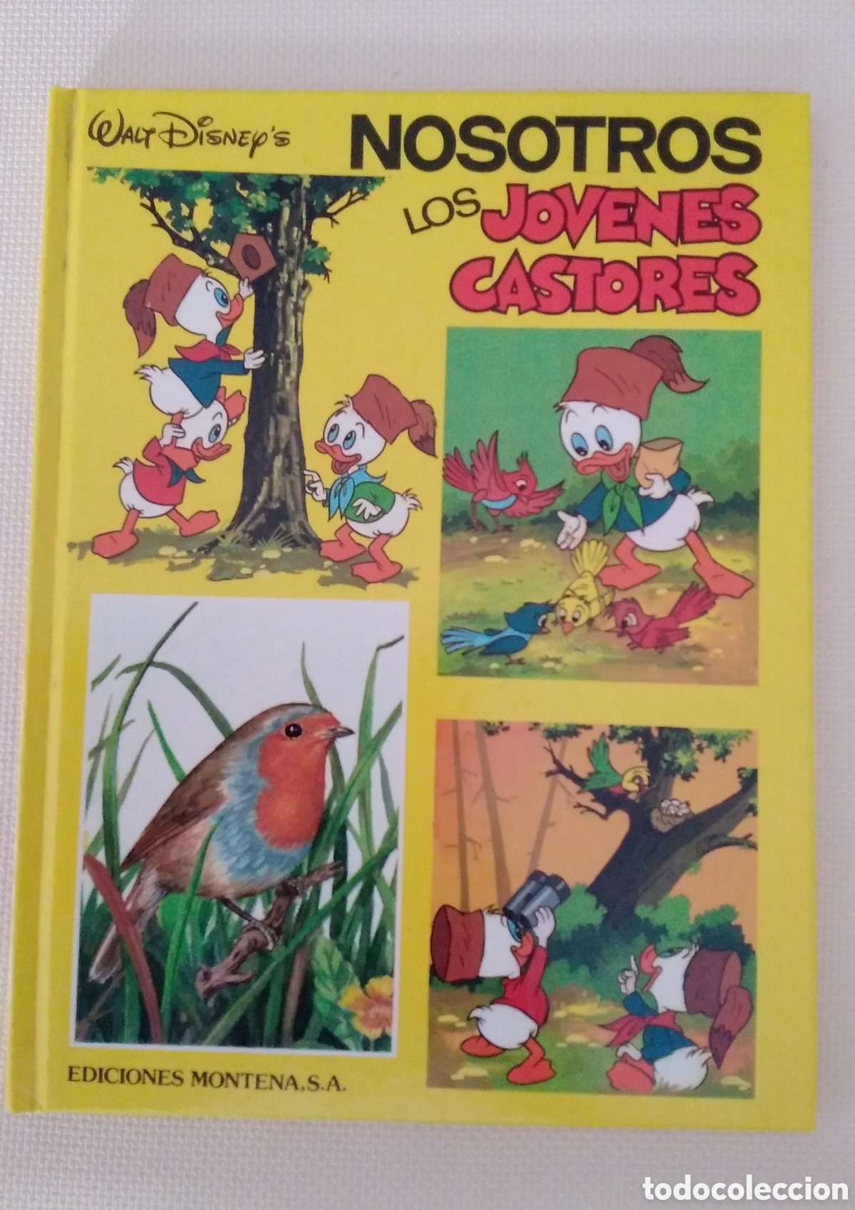 Tebeos: COMIC. NOSOTROS LOS J&Oacute;VENES CASTORES. TOMO 4. EDICIONES MONTENA