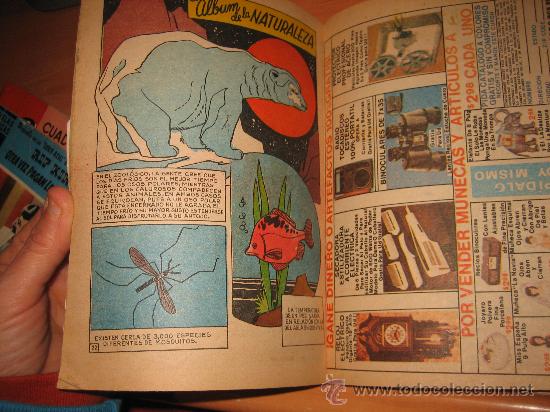 Tebeos: EL TORBELLINO DEL KUNG-FU ..... 1980 - Foto 3