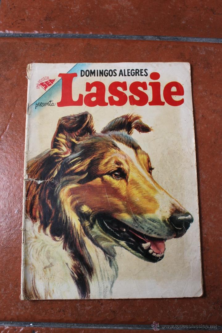 Tebeos: DOMINGOS ALEGRES N&ordm; 98: LASSIE; A&Ntilde;O 1956 - Foto 1
