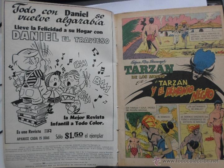 Tebeos: TARZAN DE LOS MONOS NOVARO NRO. 318 - Foto 2