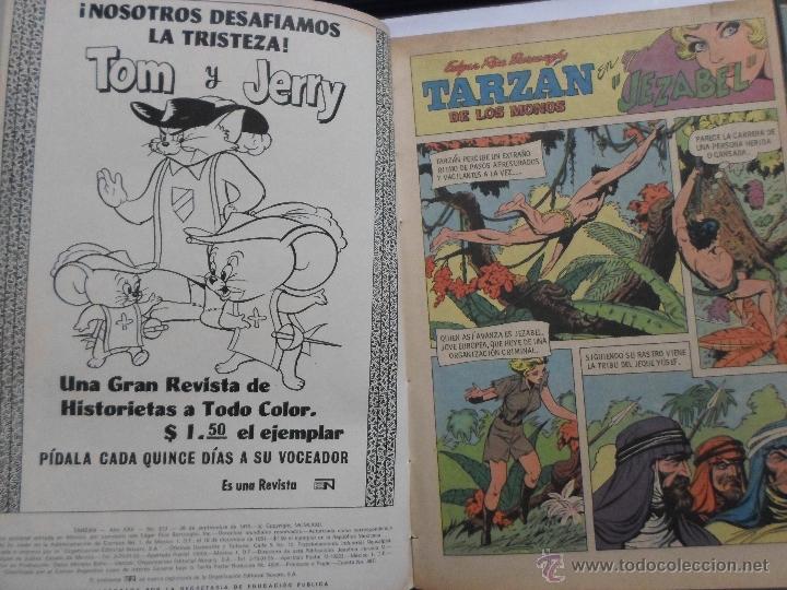Tebeos: TARZAN DE LOS MONOS NOVARO NRO. 313 - Foto 2
