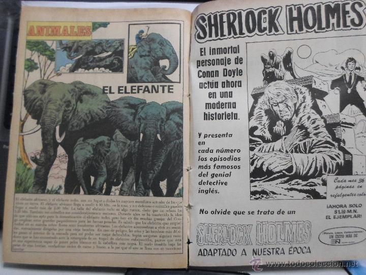 Tebeos: TARZAN DE LOS MONOS NOVARO NRO. 312 - Foto 3