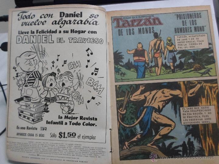 Tebeos: TARZAN DE LOS MONOS NOVARO NRO. 315 - Foto 2