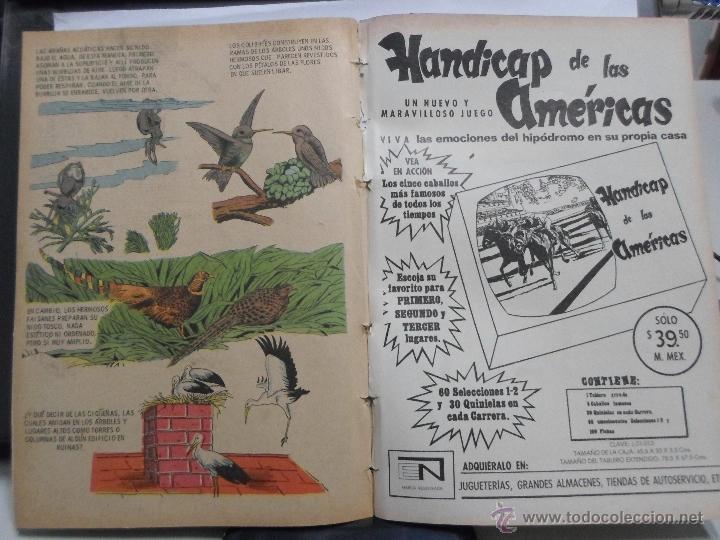 Tebeos: TARZAN DE LOS MONOS. NOVARO NRO. 326 - Foto 3
