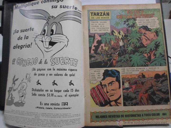 Tebeos: TARZAN DE LOS MONOS. NOVARO NRO. 320 - Foto 2