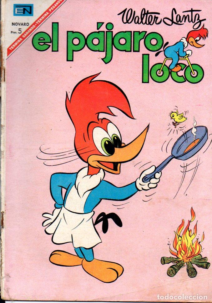 Tebeos: EL P&Aacute;JARO LOCO N&ordm; 295 (1967) - Foto 1