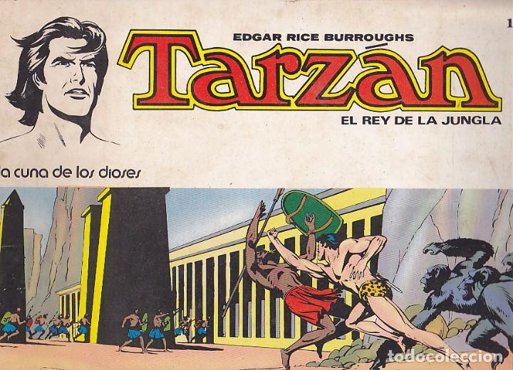 Tebeos: COMIC TARZAN EL REY DELA JUNGLA LA CUNA DE LOS DIOSES - Foto 1