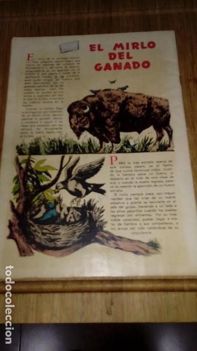 Tebeos: Roy Rogers N&ordm; 60 NOVARO - Foto 2