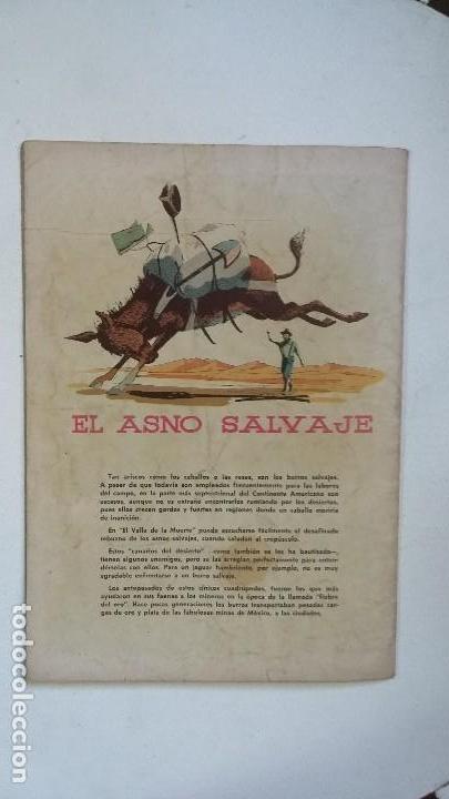 Tebeos: B&uacute;falo Bill - Domingos alegres n&deg; 234 - original editorial Novaro - Foto 3