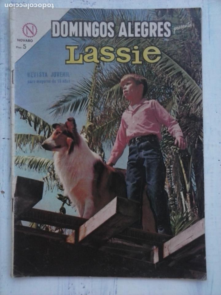 Tebeos: DOMINGOS ALEGRES N&ordm; 531 - 1964 NOVARO - LASSIE - Foto 1
