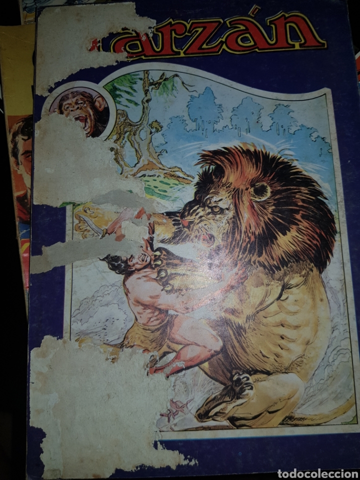 Tebeos: TARZAN TOMO VIII NOVARO - Foto 2