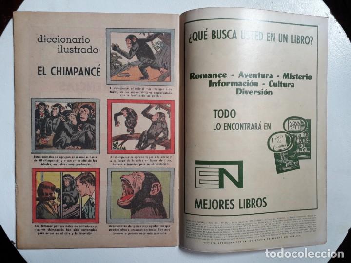 Tebeos: Domingos alegres n&deg; 882 - Lassie - original editorial Novaro - Foto 3