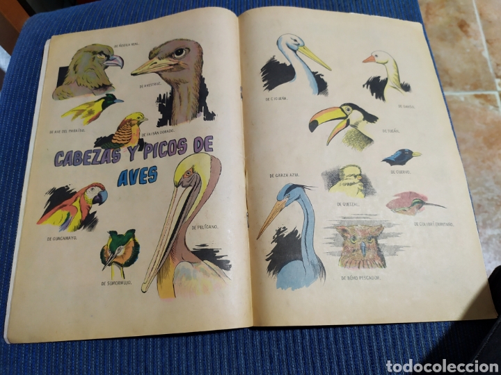 Tebeos: tarzan de los monos 316 novaro - Foto 3