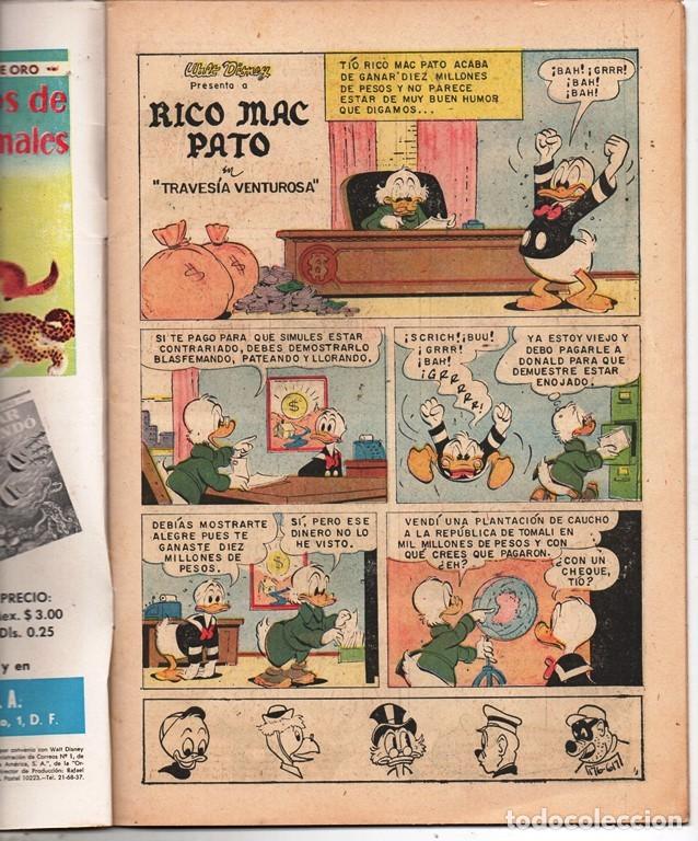 1961 cuentos de walt disney 250 donald rico m Comprar Outros