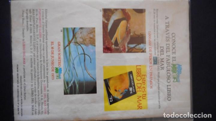 Tebeos: TUROK N&ordm; 53 / NOVARO - Foto 2