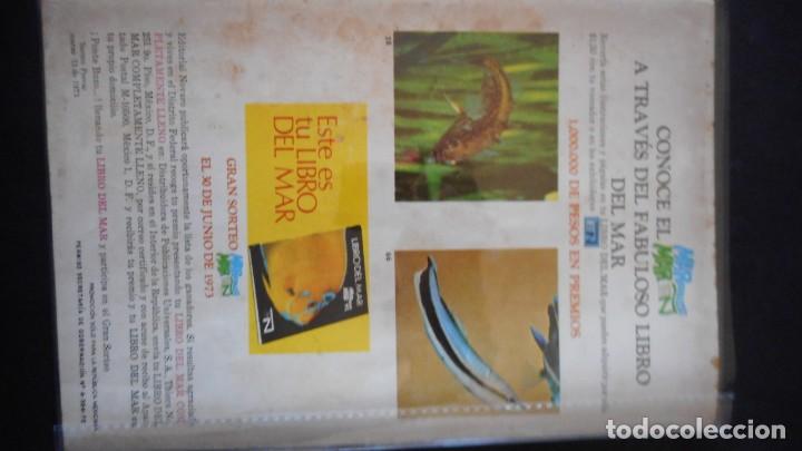 Tebeos: TARZAN N&ordm; 352 / NOVARO - Foto 2