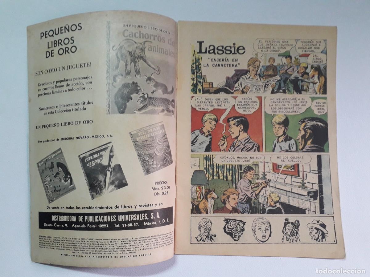 Tebeos: Domingos alegres n&deg; 370 - Lassie - original editorial Novaro - Foto 2