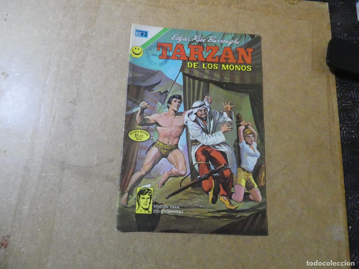 Tebeos: tarz&aacute;n n&ordm; 313 de novaro - Foto 1