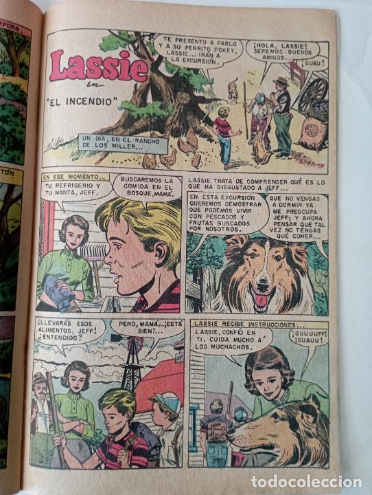 Tebeos: NOVARO - DOMINGOS ALEGRES - LASSIE - N&ordm; 1020 - Foto 4