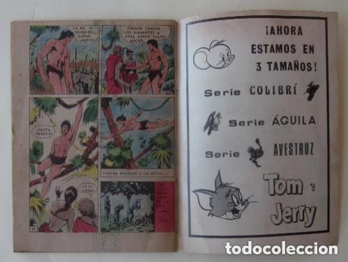 Tebeos: TARZAN DE LOS MONOS - EL TEMPLO DEL SOL - Foto 3