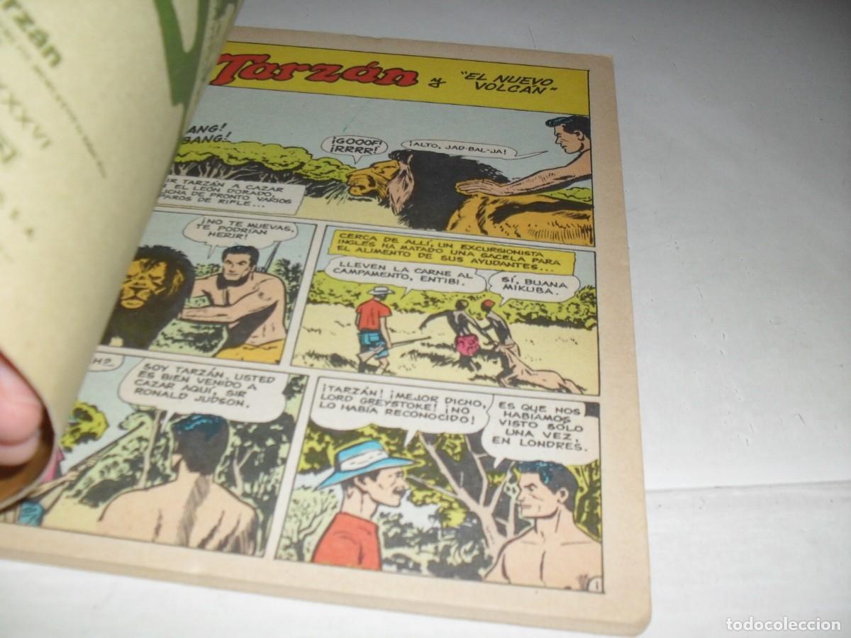 Tebeos: TARZAN 36,(DE 47),LIBROCOMIC,NOVARO,1973 - Foto 2