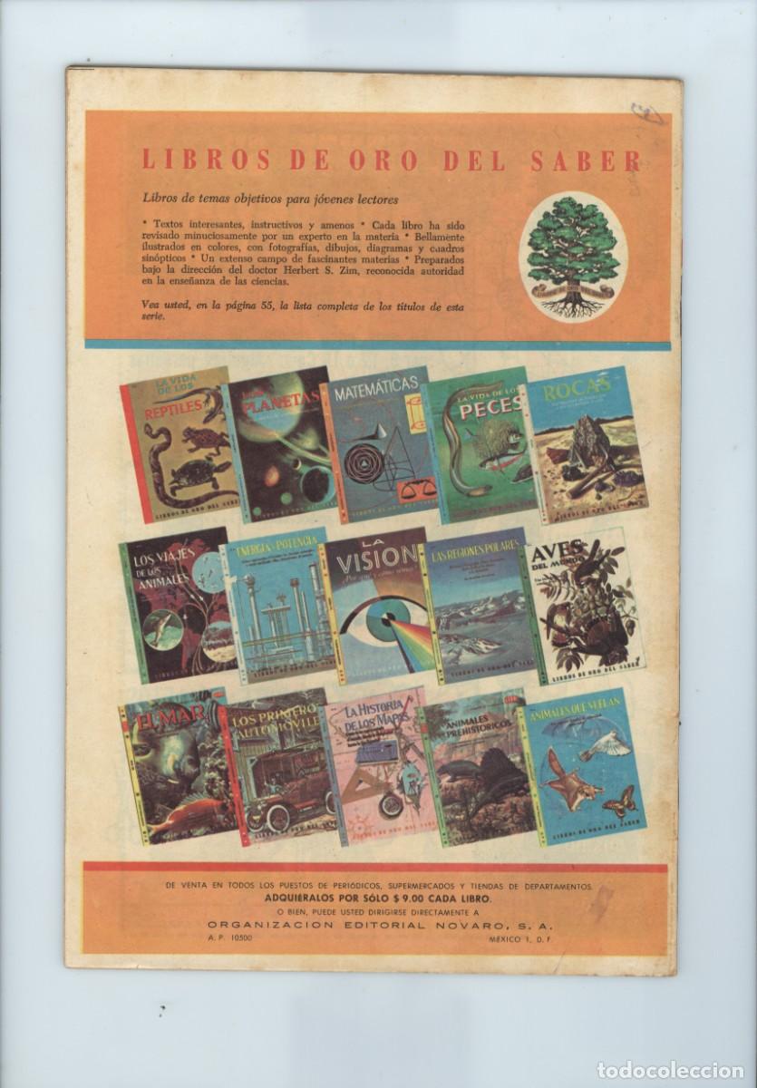Tebeos: Novaro. Tarzan de los monos. 262 - Foto 2