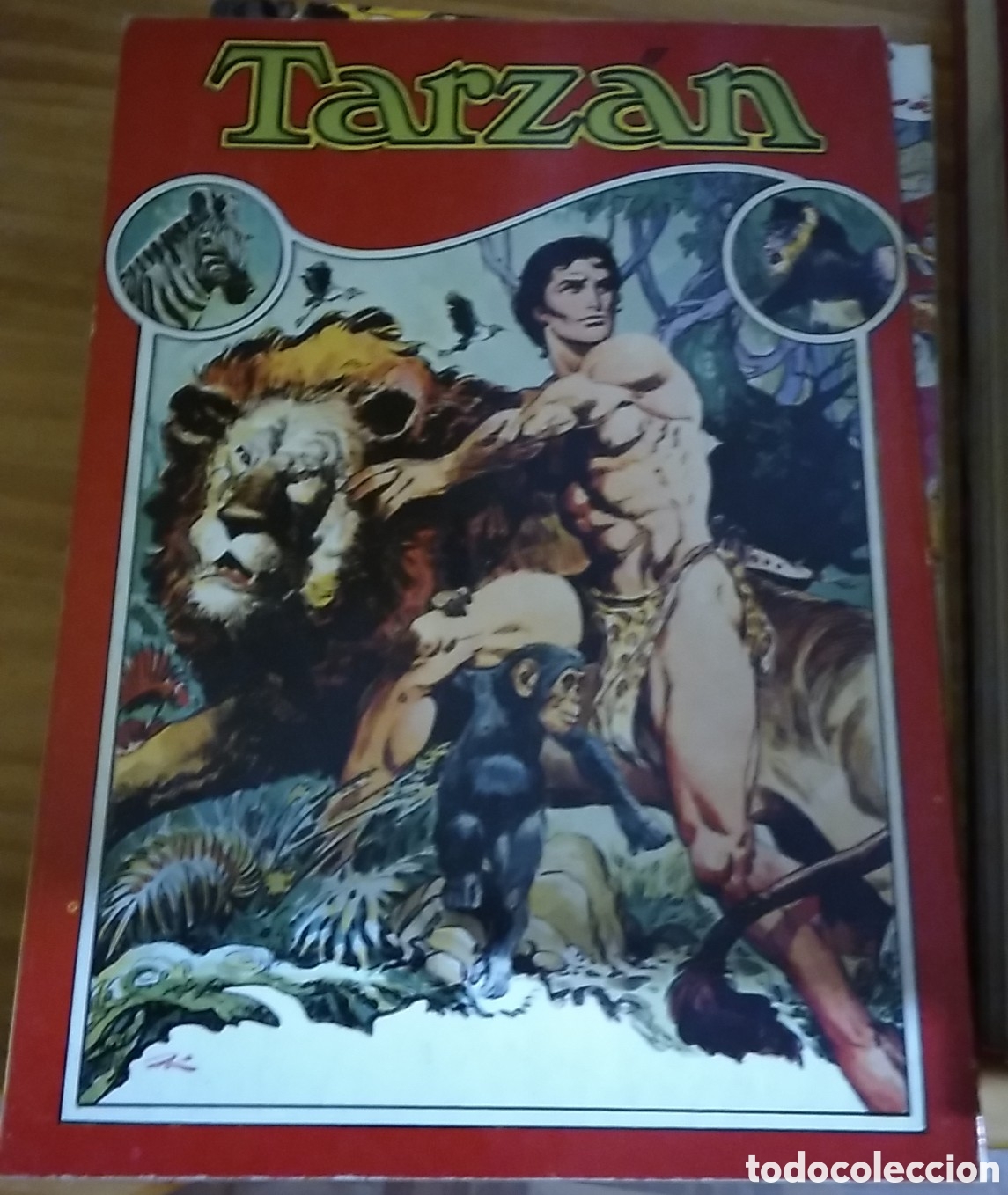 Tebeos: Tarz&aacute;n librocomic novaro n&uacute;mero 1 (I) a&ntilde;o 1973 - Foto 1