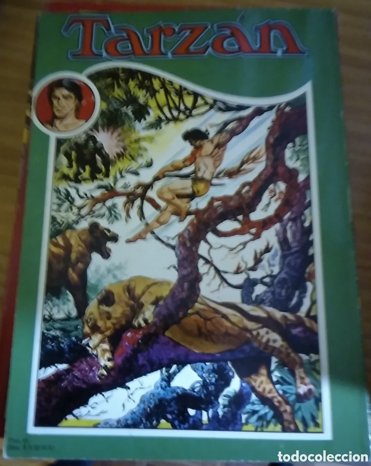 Tebeos: Tarz&aacute;n librocomic novaro n&uacute;mero 2 (II) a&ntilde;o 1973 - Foto 3