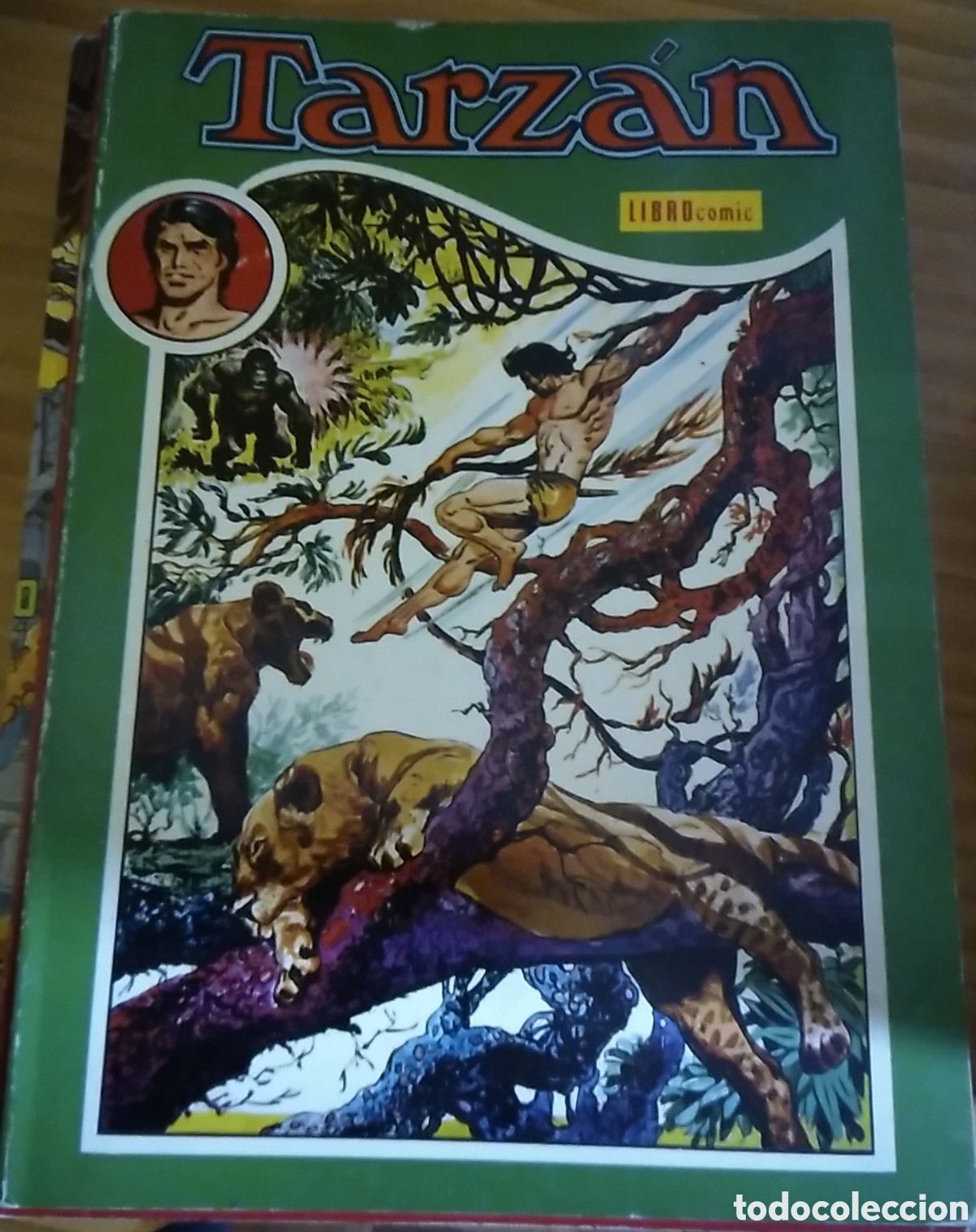 Tebeos: Tarz&aacute;n librocomic novaro n&uacute;mero 2 (II) a&ntilde;o 1973 - Foto 1