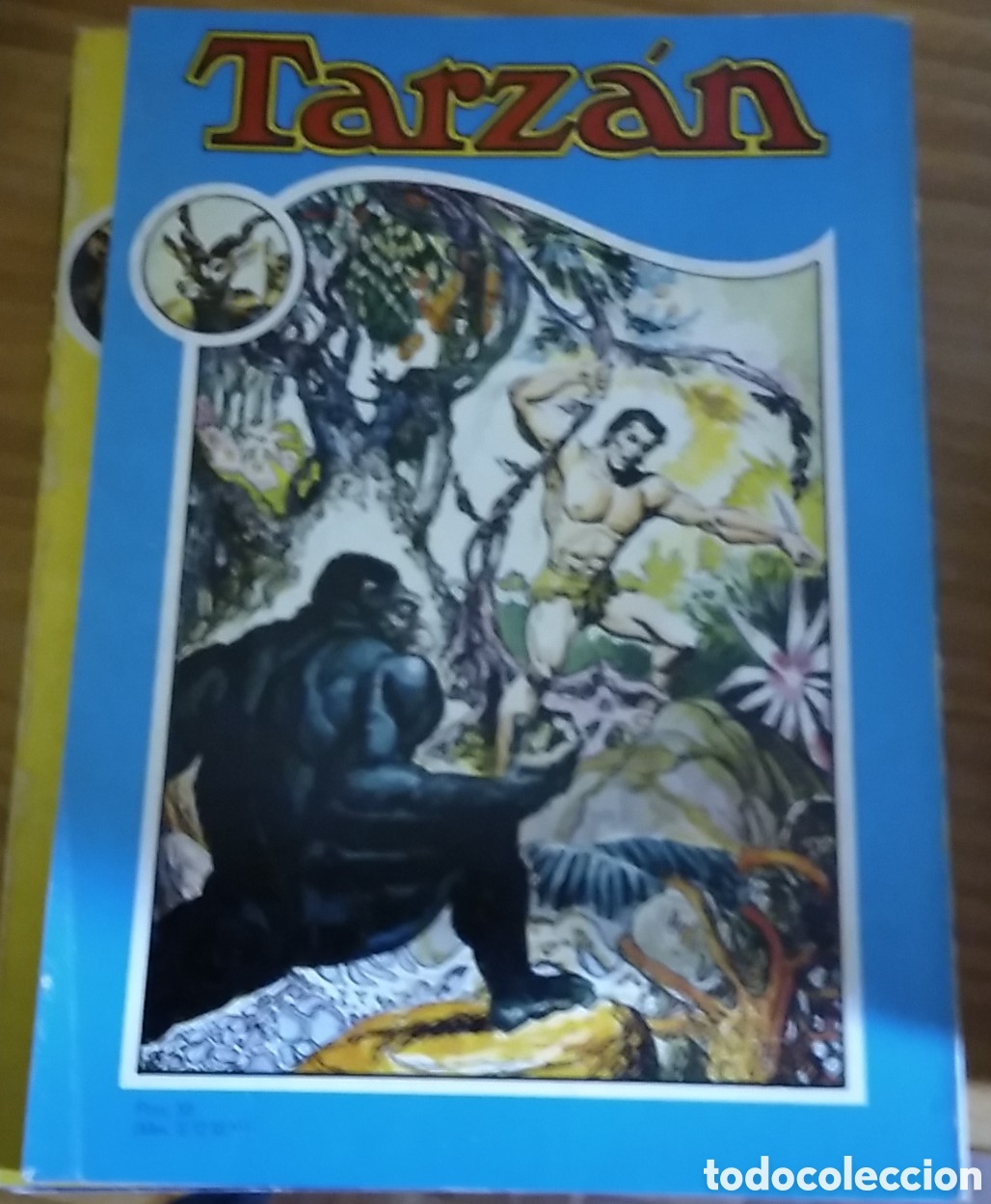 Tebeos: Tarz&aacute;n librocomic novaro n&uacute;mero 5 (V) a&ntilde;o 1974 - Foto 3