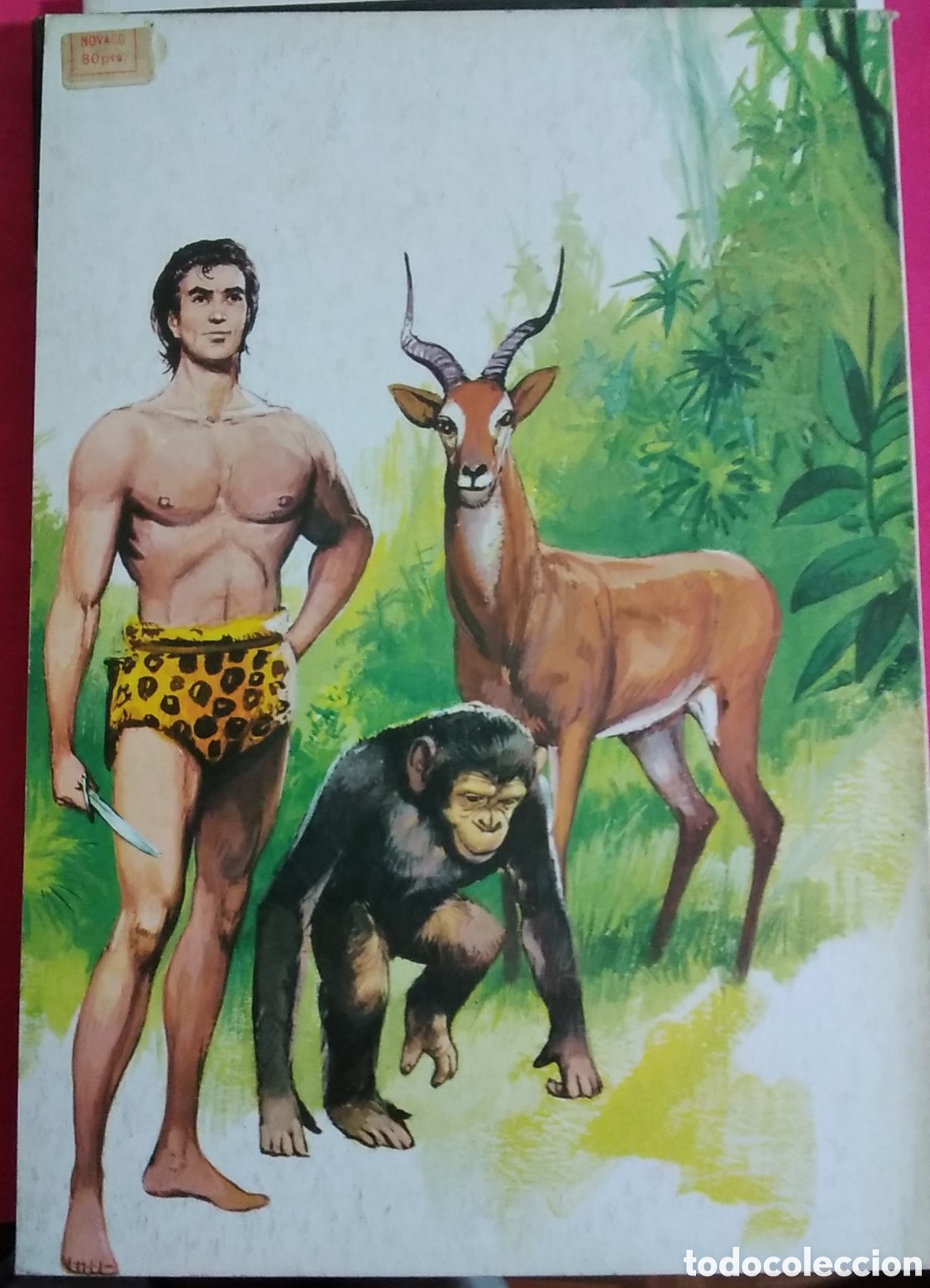 Tebeos: Tarz&aacute;n librocomic novaro n&uacute;mero 45 ( XLV) a&ntilde;o 1978 - Foto 1
