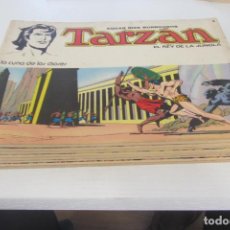 Tebeos: TARZAN EL REY DE LA JUNGLA COMPLETA 1 AL 8 NUM. NOVARO 1976 AS03