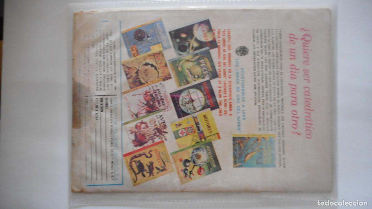 Tebeos: SAL Y PIMIENTA N&ordm; 14 / C-21 - Foto 3