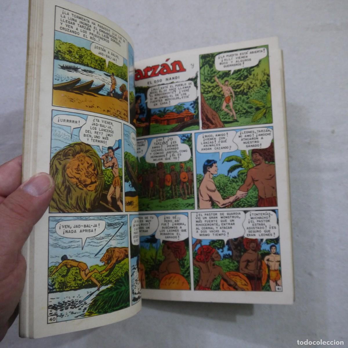 Tebeos: TARZ&Aacute;N TOMO V LIBRO-C&Oacute;MIC - EDITORIAL NOVARO - 1974 - Foto 6