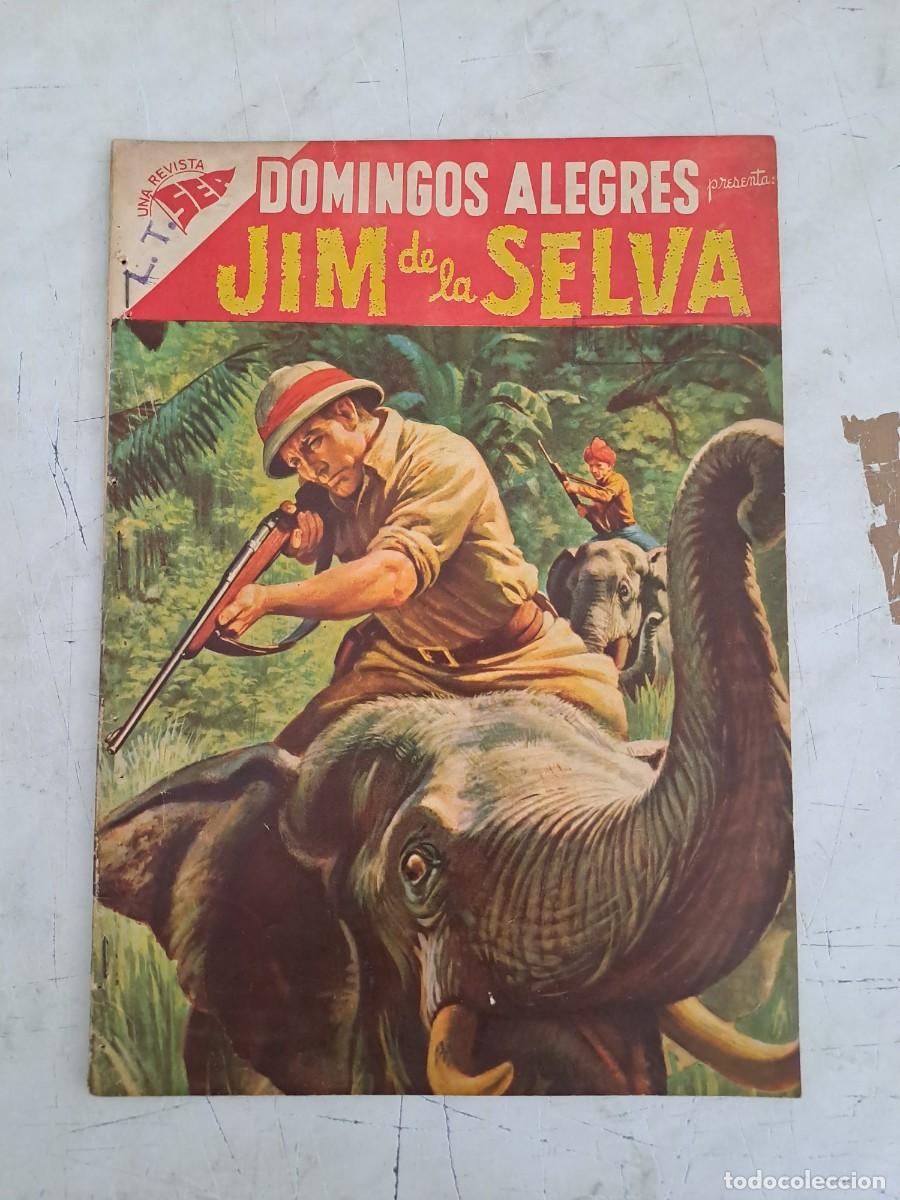 Tebeos: Domingos alegres 225, Novaro - Foto 1