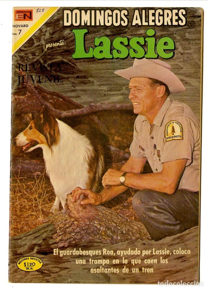 Tebeos: Domingos Alegres - Lassie n.828 - Novaro (B13) - Foto 1