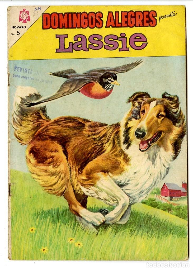 Tebeos: Domingos Alegres - Lassie n.539 - Novaro (B13) - Foto 1