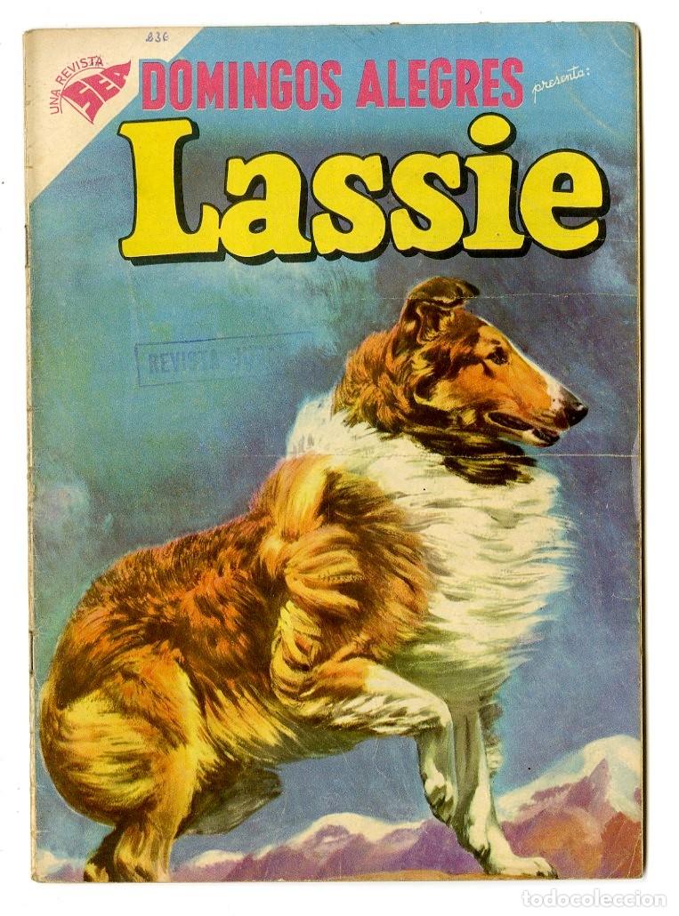 Tebeos: Domingos Alegres - Lassie n.236 - Novaro (B13) - Foto 1