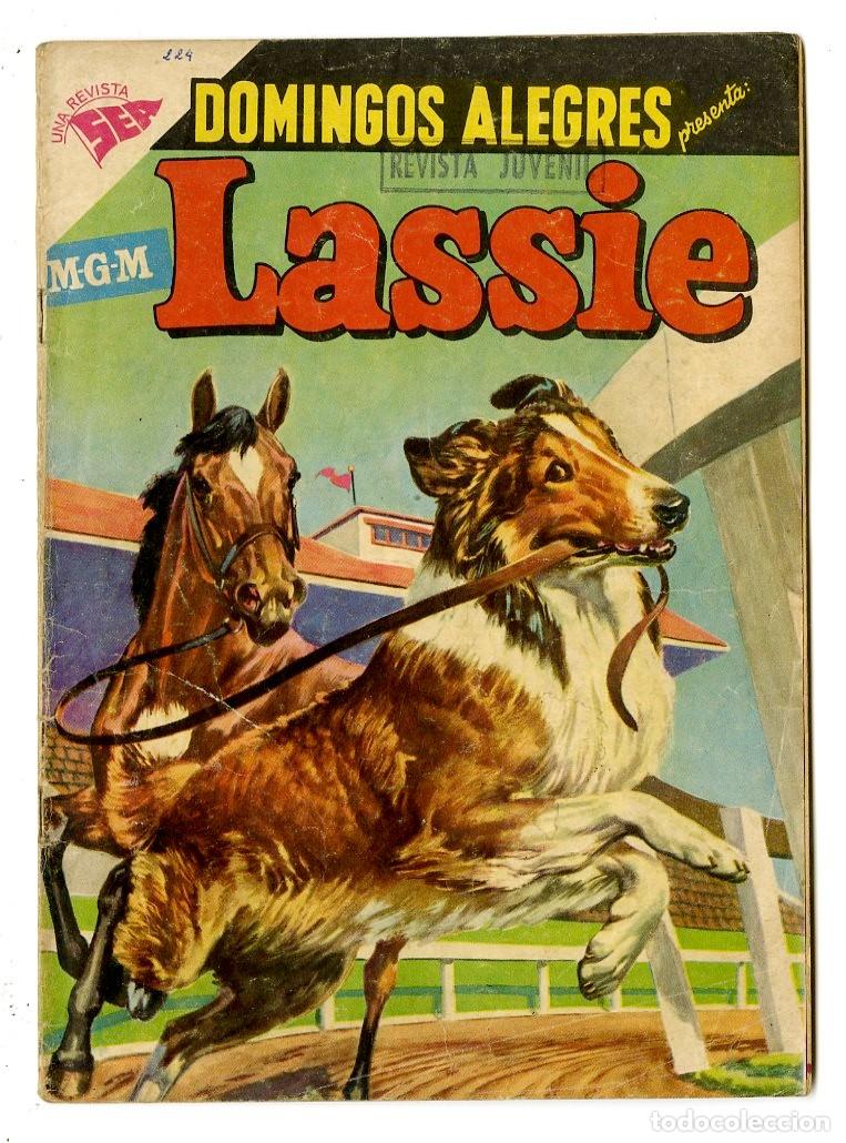 Tebeos: Domingos Alegres - Lassie n.224 - Novaro (B13) - Foto 1