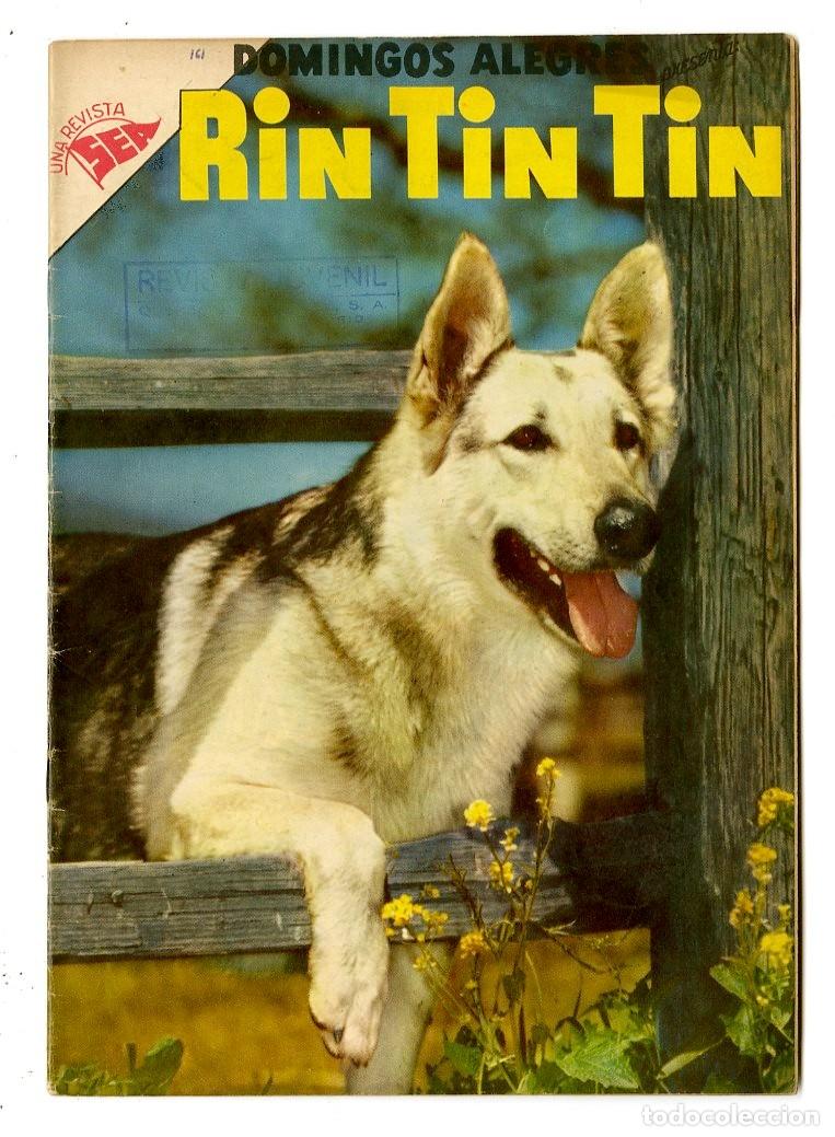 Tebeos: Domingos Alegres - Rin Tin Tin n.161 - Novaro (B13) - Foto 1