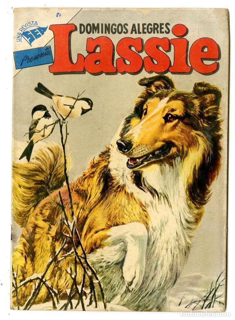 Tebeos: Domingos Alegres - Lassie n.80 - Novaro (B13) - Foto 1