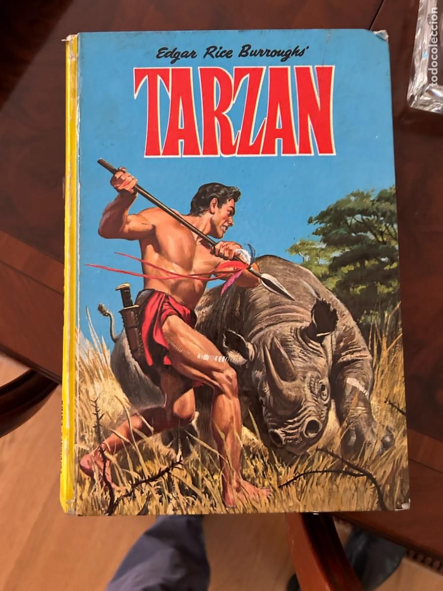 Tebeos: tarzan laida buen estado - Foto 1
