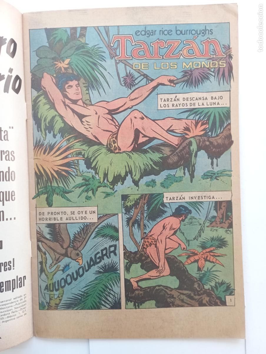 Tebeos: TARZAN DE LOS MONOS N&ordm; 386 - NOVARO - Foto 2
