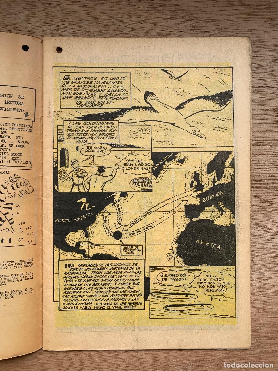 Tebeos: Selva n&ordm; 71 - Export Newspaper Service - Foto 3