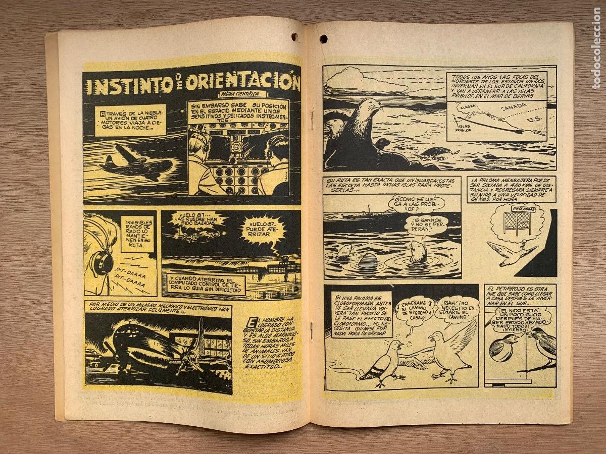 Tebeos: Selva n&ordm; 71 - Export Newspaper Service - Foto 4