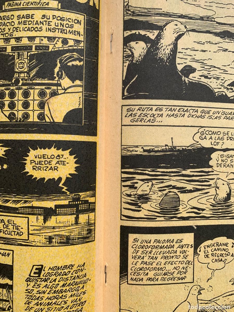 Tebeos: Selva n&ordm; 71 - Export Newspaper Service - Foto 5