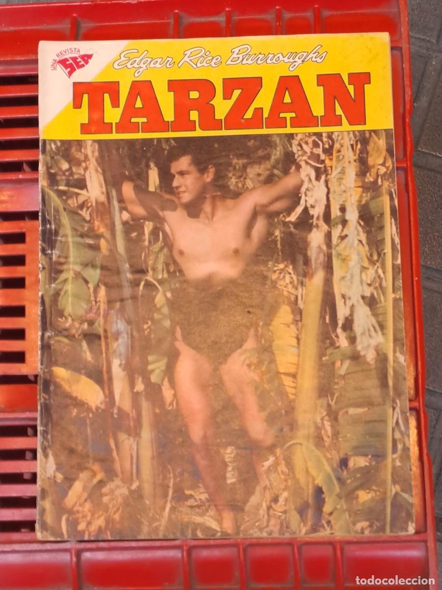 Tebeos: Lote de 23 n&uacute;meros de Tarz&aacute;n, Novaro - Foto 14