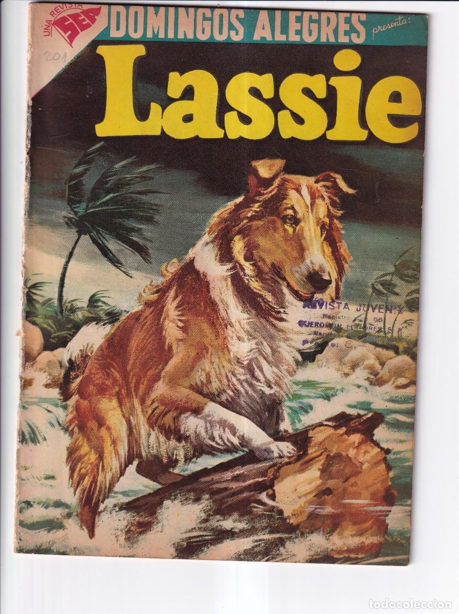 Tebeos: LASSIE : DOMINGOS ALEGRES, NUMERO 201, PIRATAS DEL RIO - Foto 1