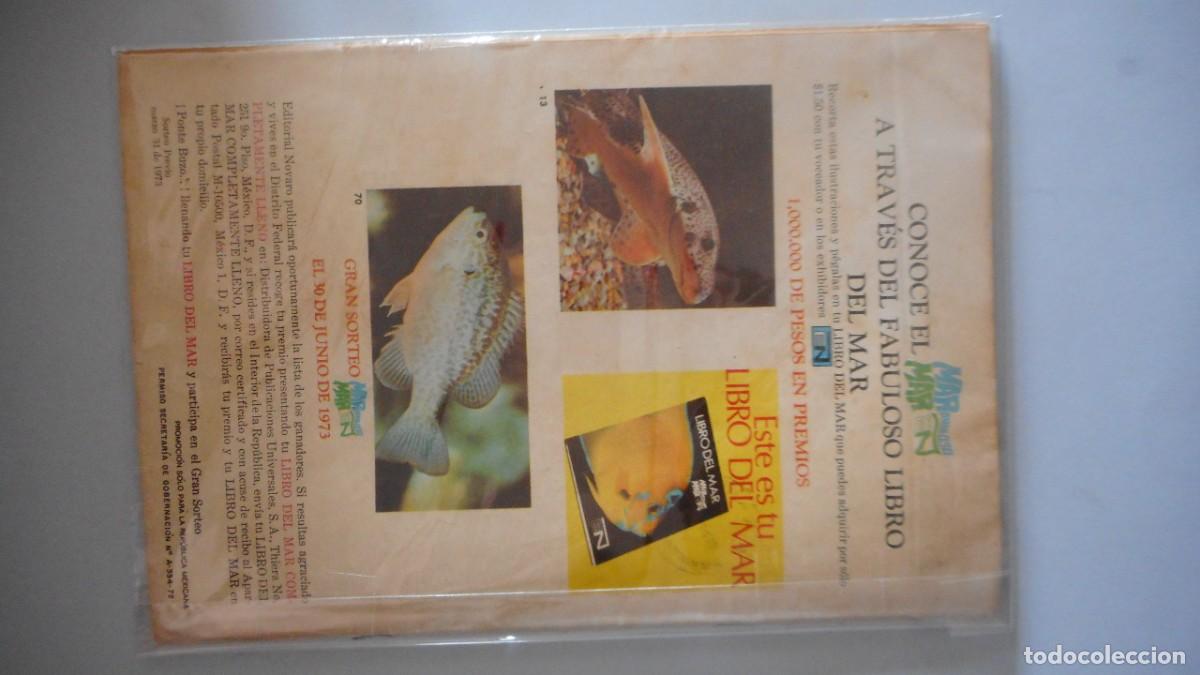 Tebeos: TARZAN N&ordm; 347. NOVARO / C-24 - Foto 2